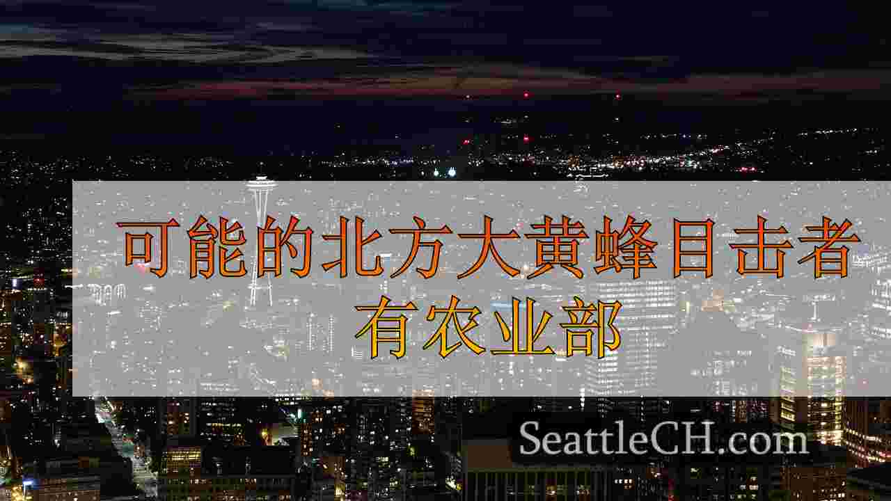 西雅图新闻 SeattleCH