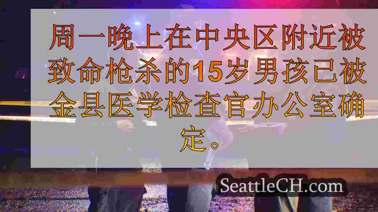 15岁男孩在西雅图的中部地区致命枪杀