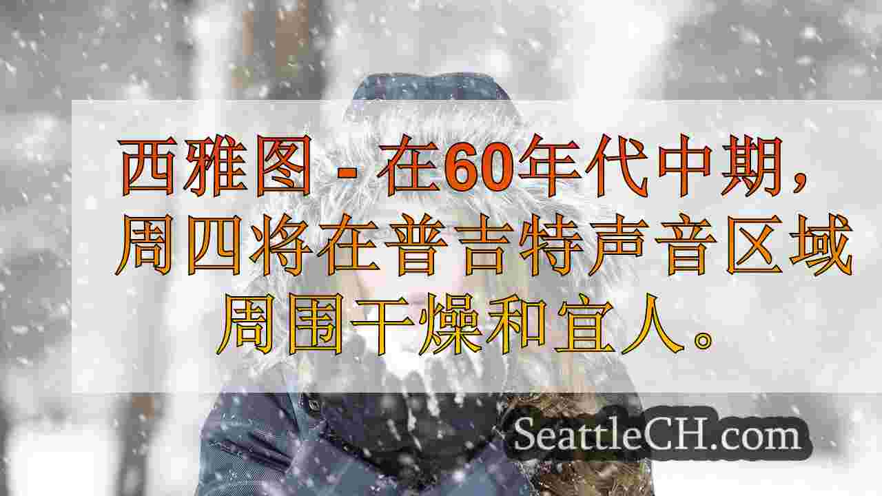 西雅图新闻 SeattleCH