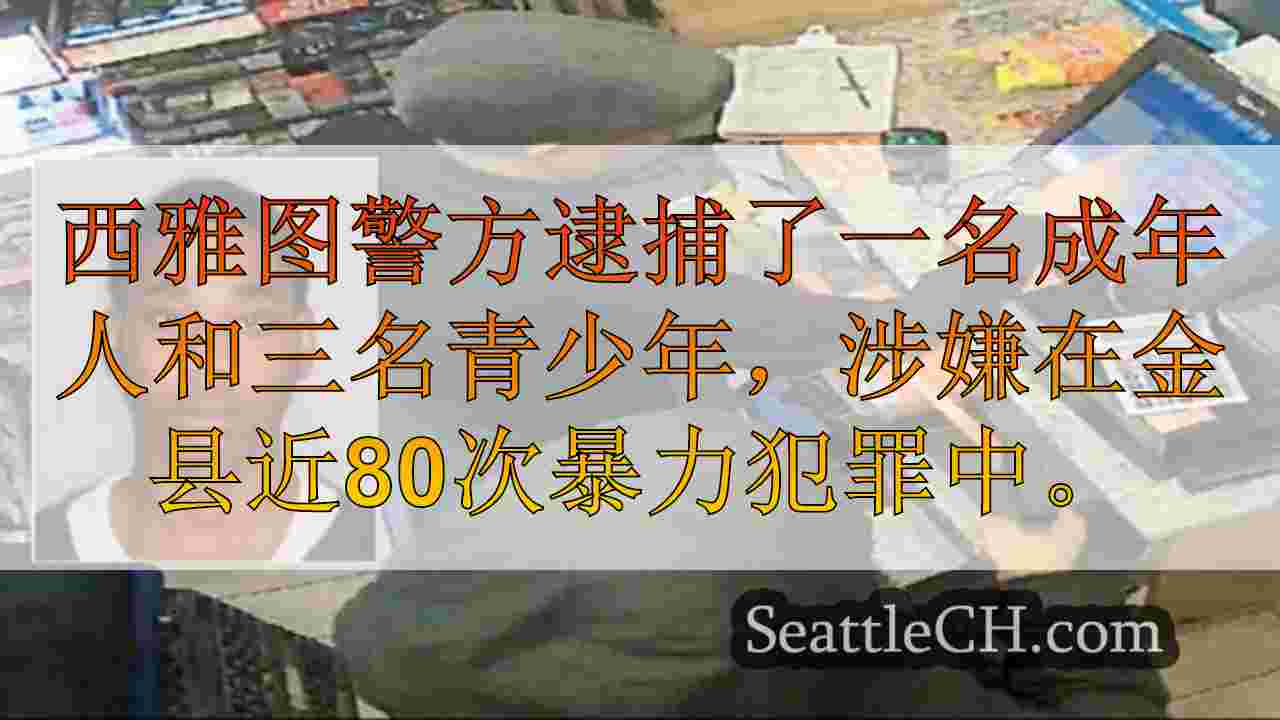 检察官指控2名与70多个金县抢劫相关的青少年