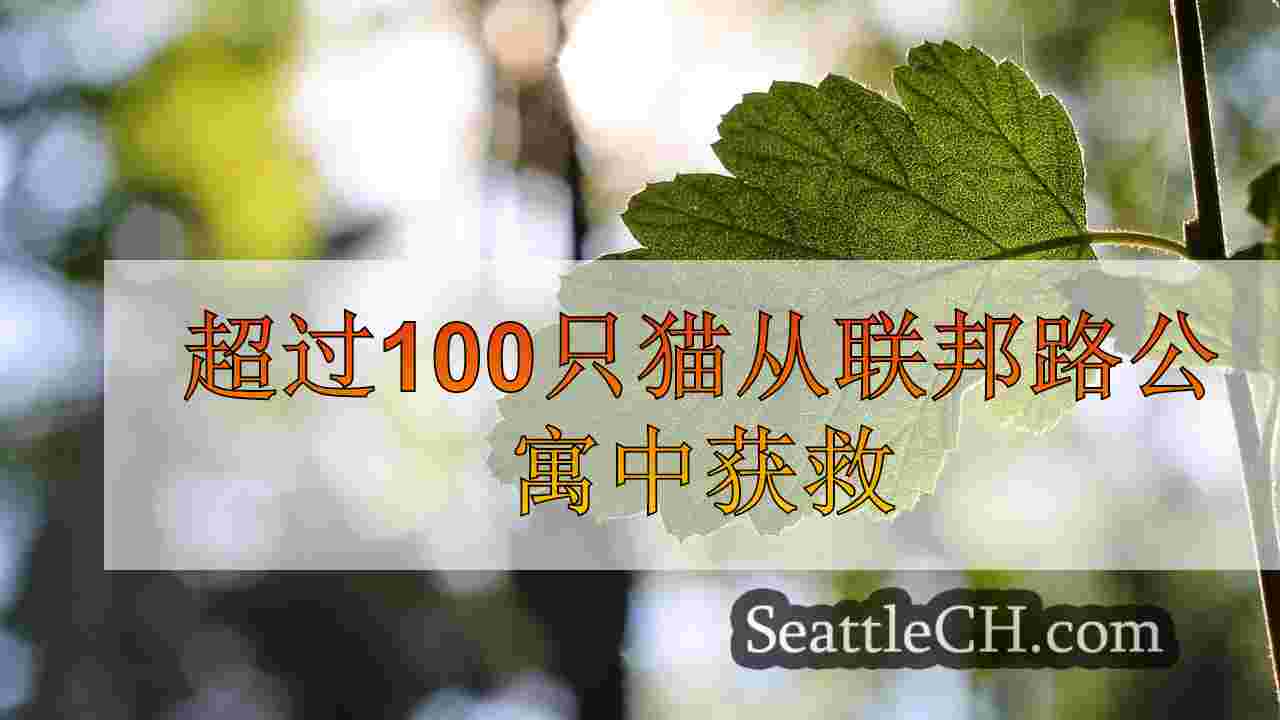 超过100只猫从联邦路公寓中获救