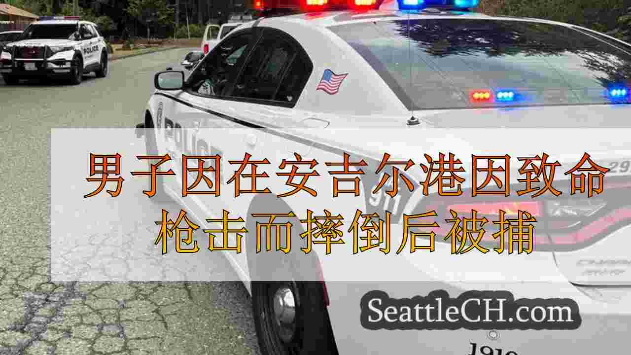 男子因在安吉利斯港因致命枪击而摔倒后被捕