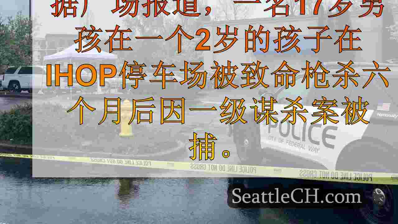 17岁的男孩因在联邦方式IHOP停车场被捕而被捕