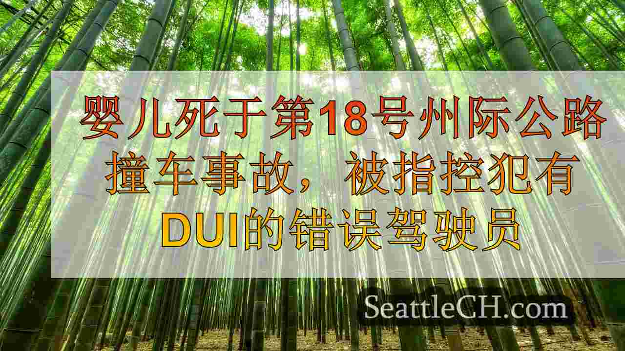 西雅图新闻 SeattleCH