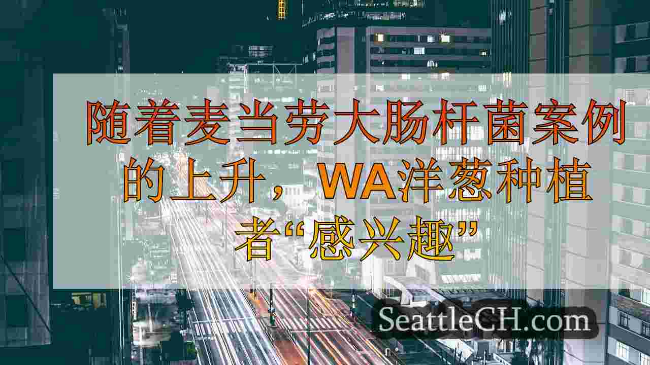 西雅图新闻 SeattleCH