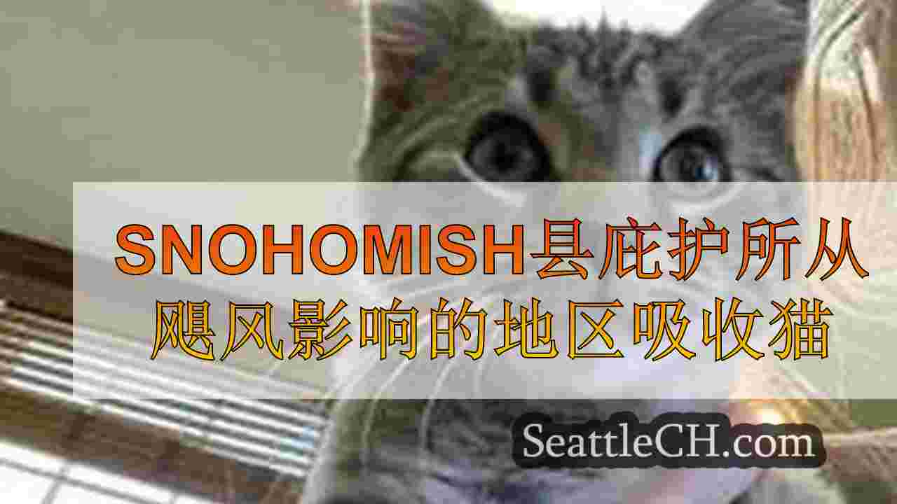 西雅图新闻 SeattleCH