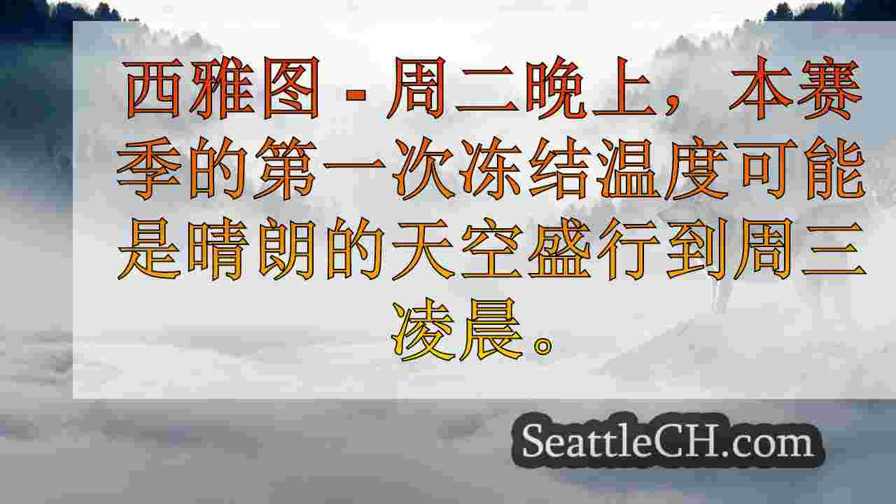 西雅图新闻 SeattleCH
