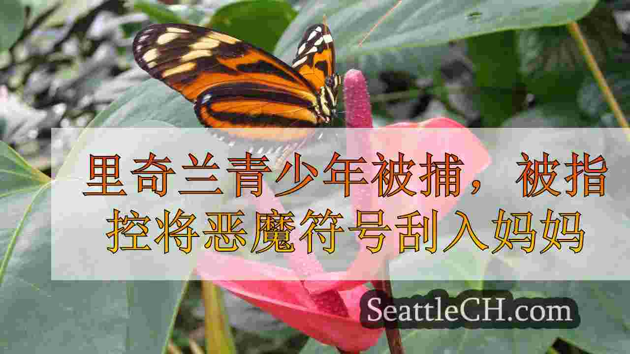 里奇兰青少年被捕，被指控将恶魔符号刮入妈妈的梅赛德斯，然后偷走