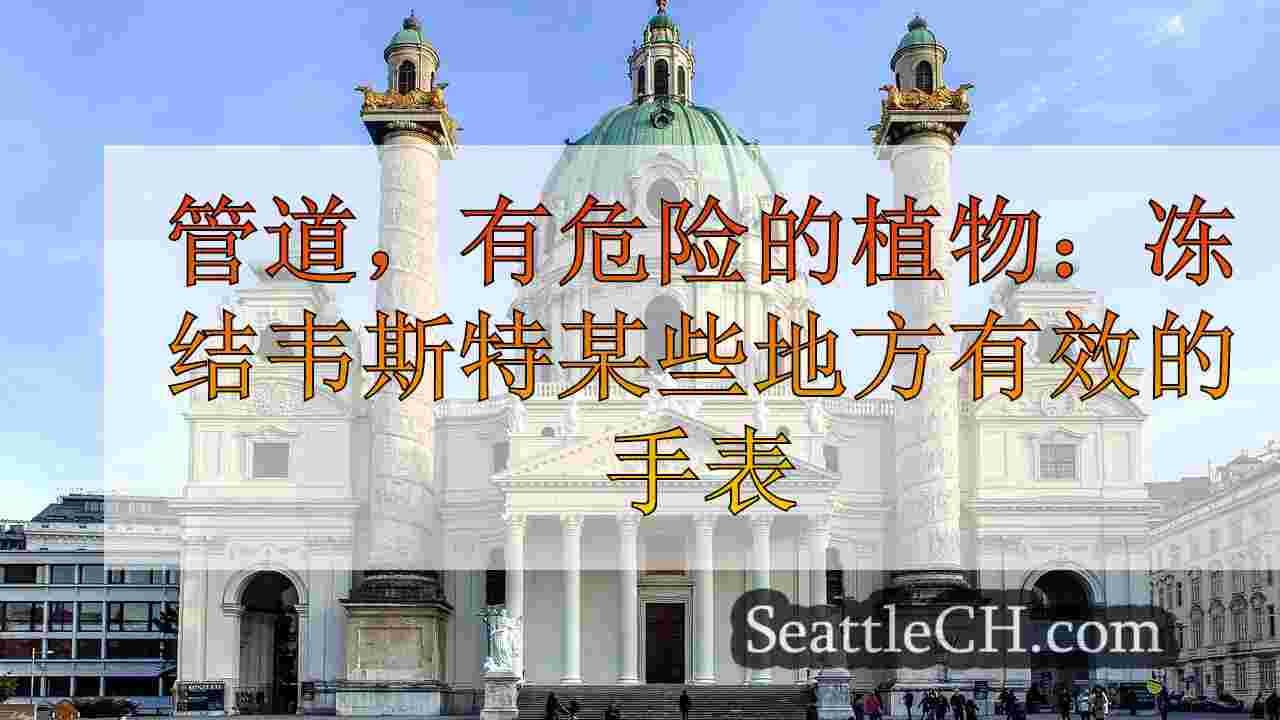 西雅图新闻 SeattleCH
