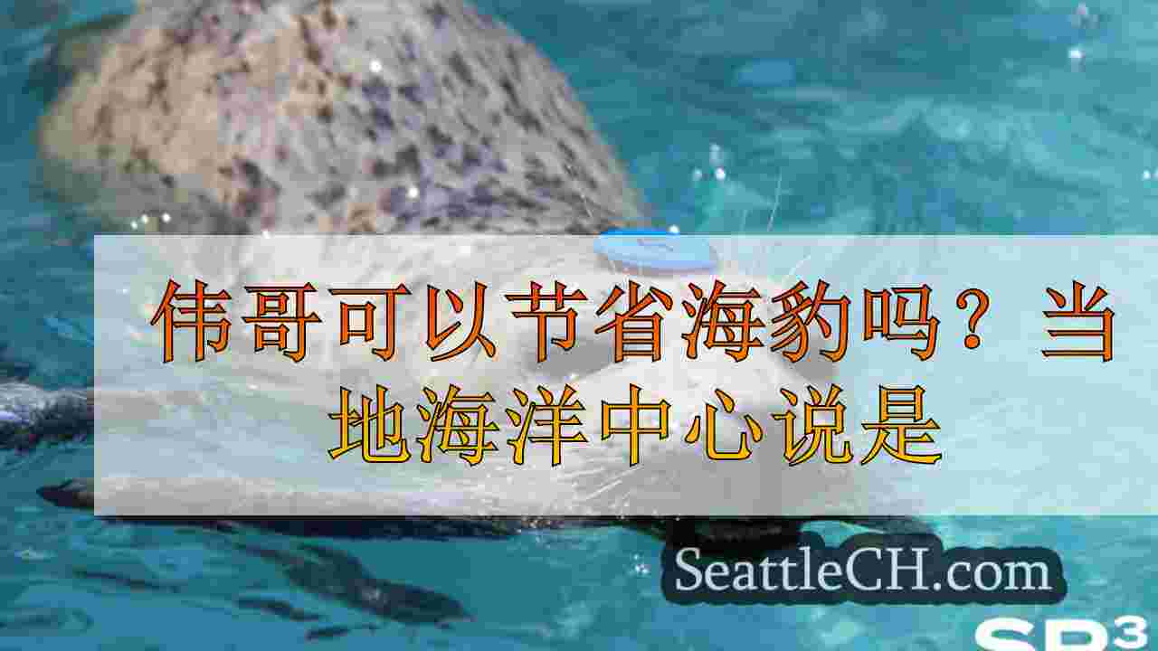 伟哥可以节省海豹吗？当地海洋中心说是