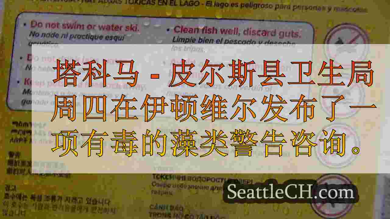西雅图新闻 SeattleCH