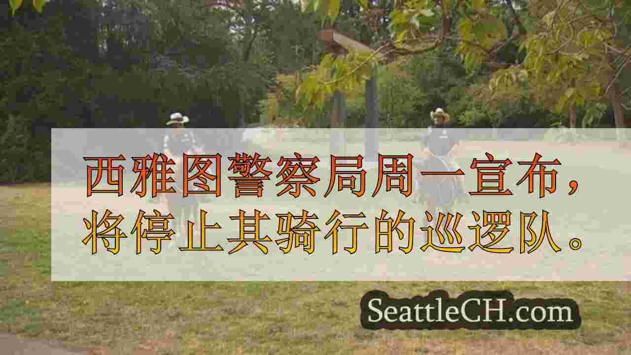 西雅图新闻 SeattleCH