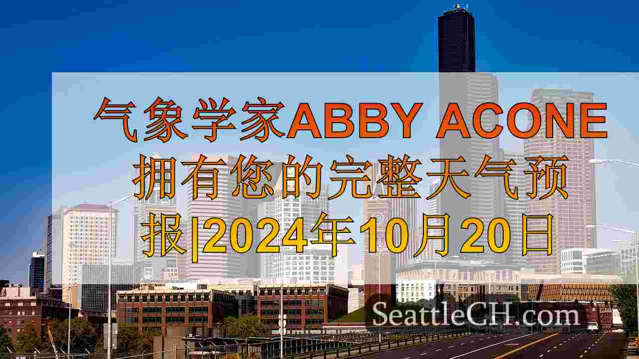 西雅图新闻 SeattleCH