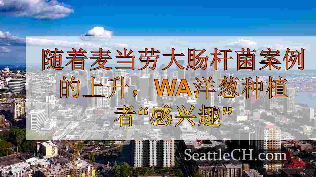 西雅图新闻 SeattleCH