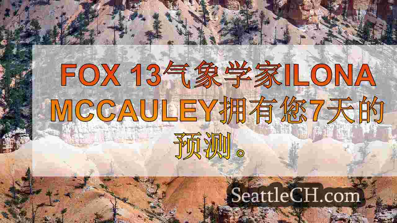 西雅图新闻 SeattleCH