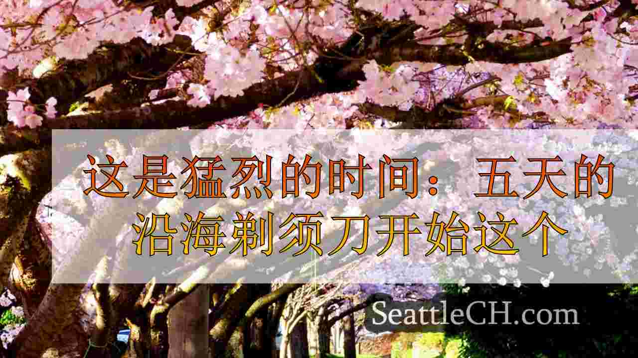 西雅图新闻 SeattleCH