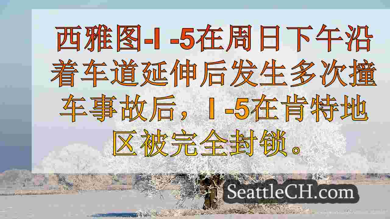 西雅图新闻 SeattleCH