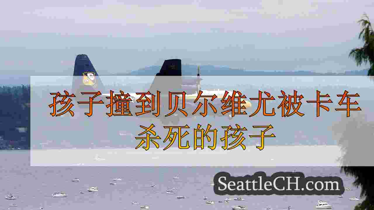 孩子撞到贝尔维尤被卡车杀死的孩子