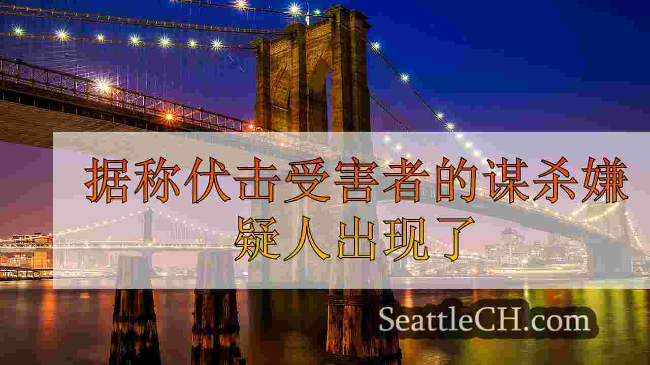 西雅图新闻 SeattleCH