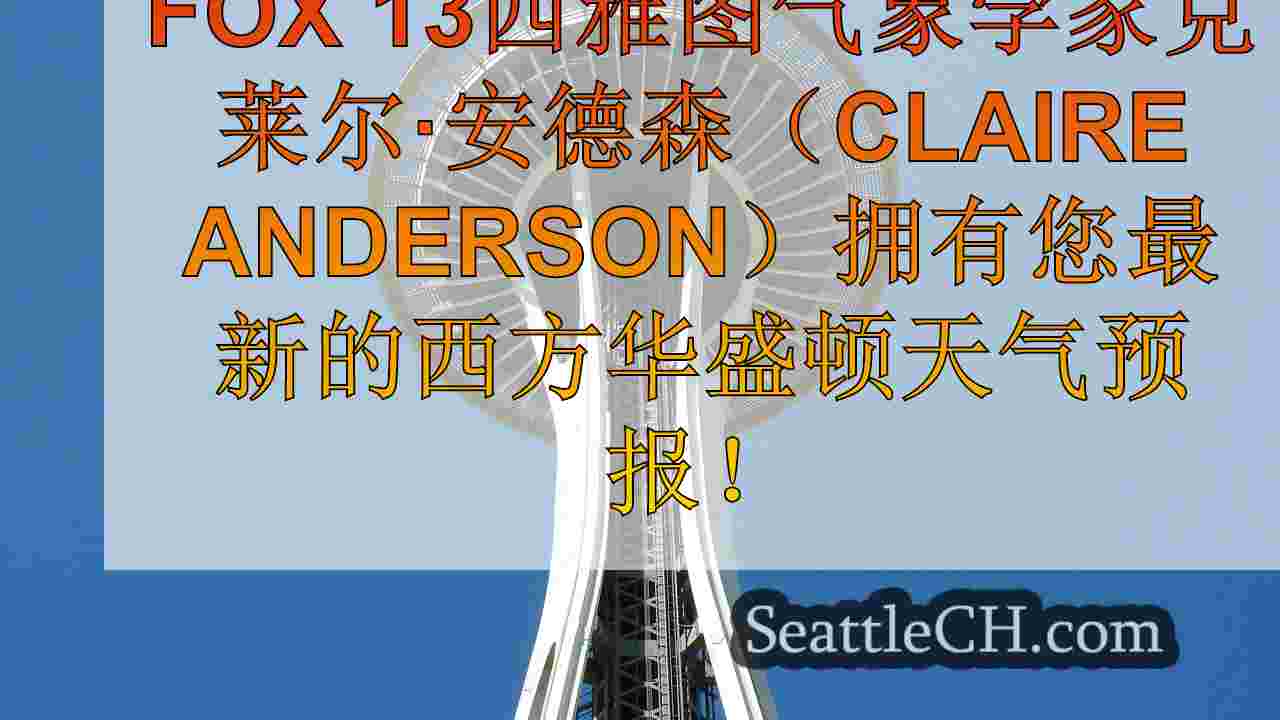 西雅图的天气：潮湿，凉爽和微风的开始到11月