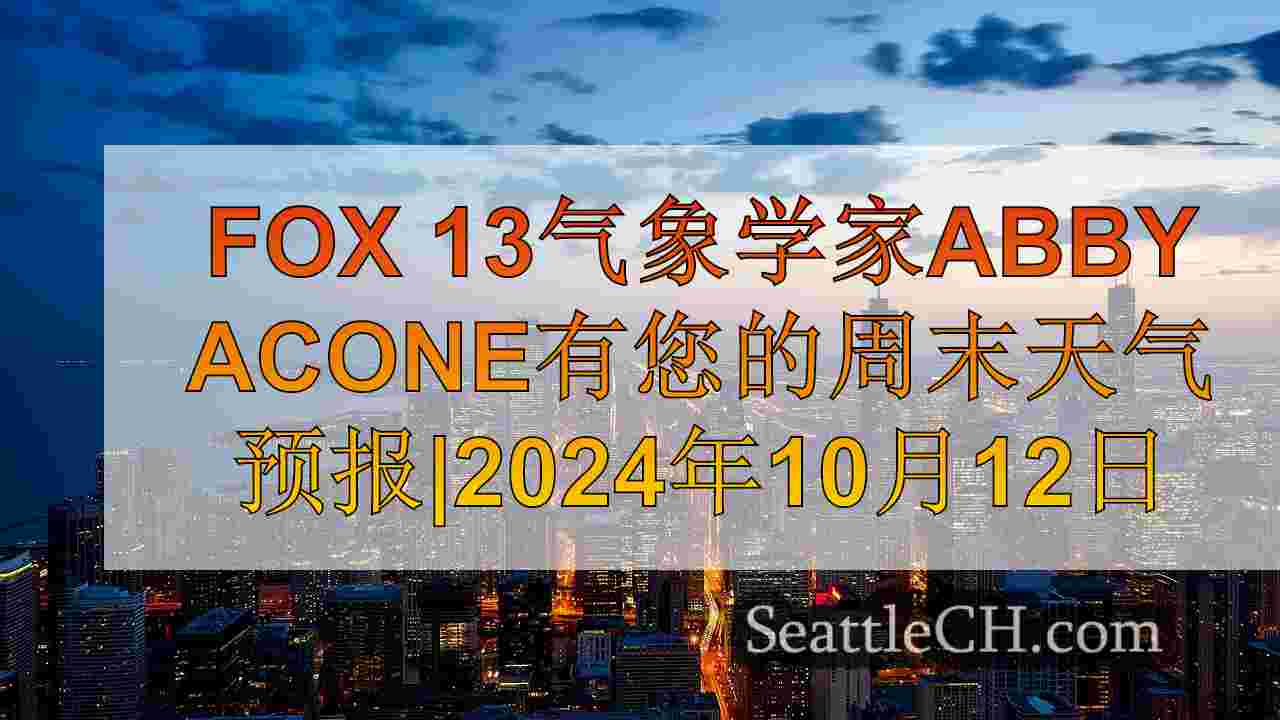 西雅图新闻 SeattleCH