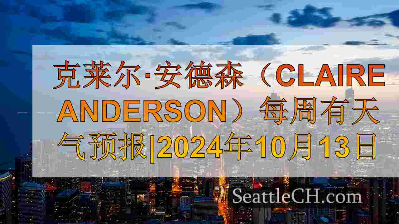 西雅图新闻 SeattleCH