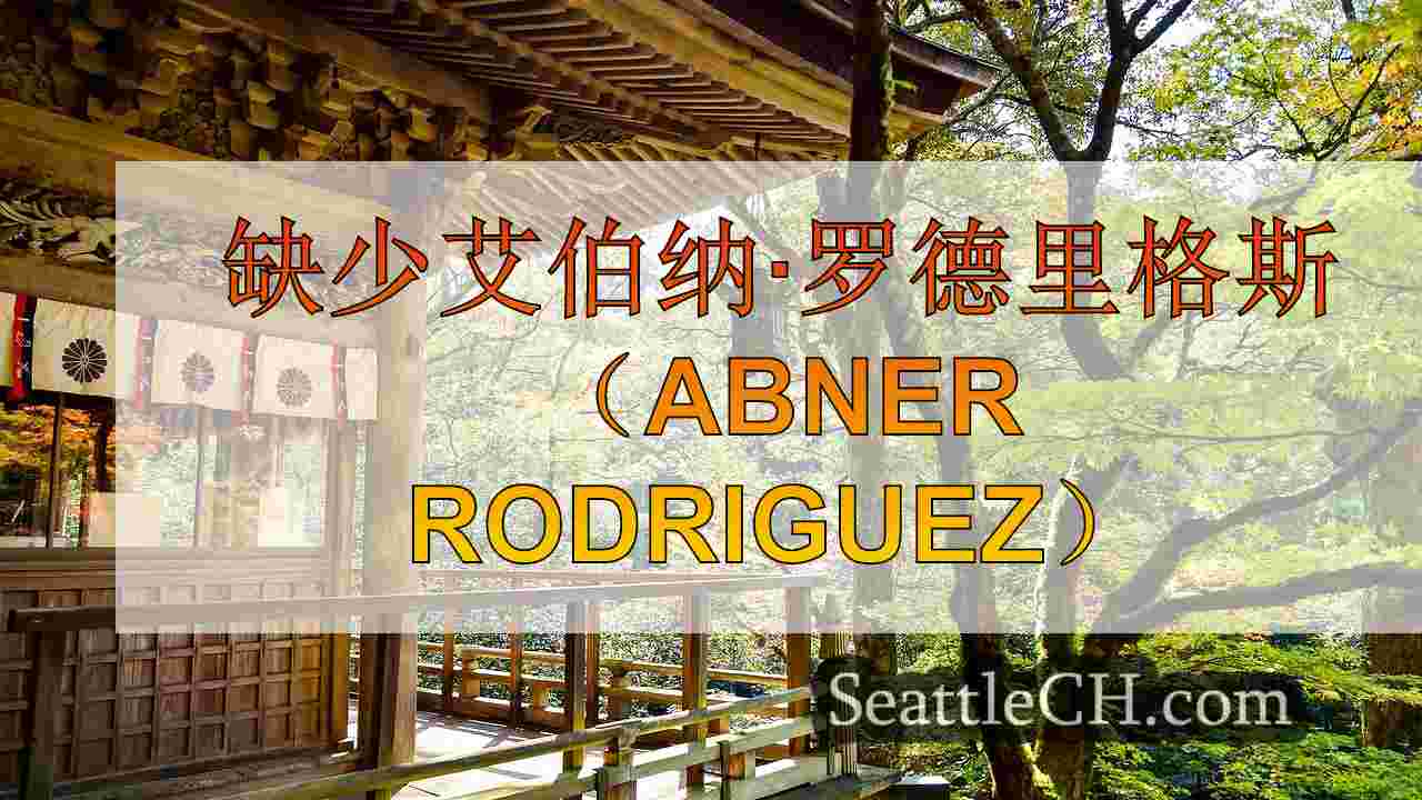 14岁的男孩与Burien Ties失踪了