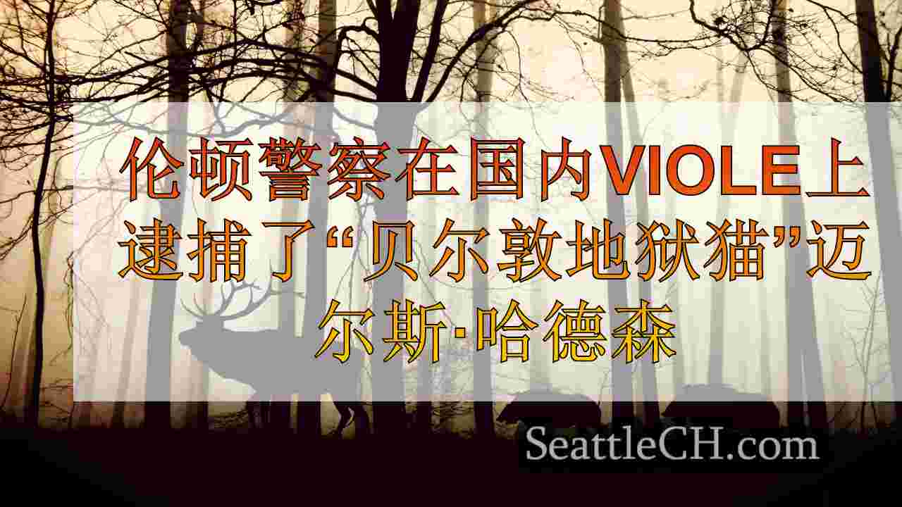 西雅图新闻 SeattleCH