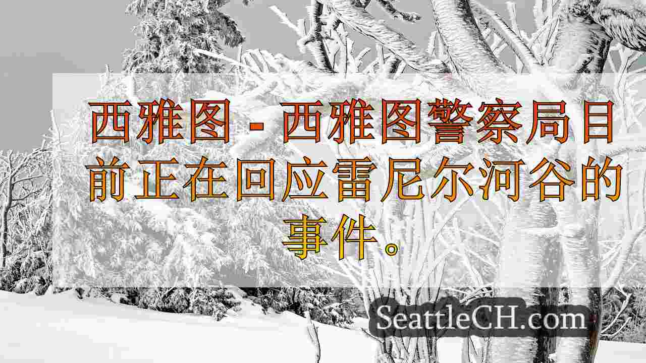 西雅图新闻 SeattleCH