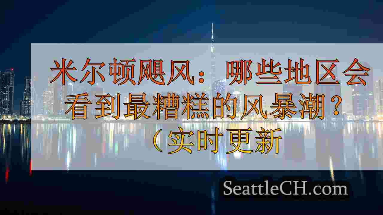 西雅图新闻 SeattleCH