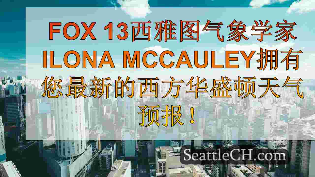 西雅图新闻 SeattleCH
