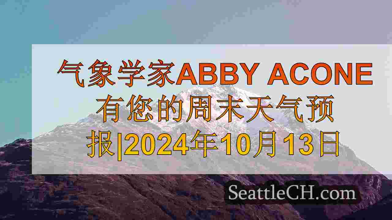 西雅图新闻 SeattleCH