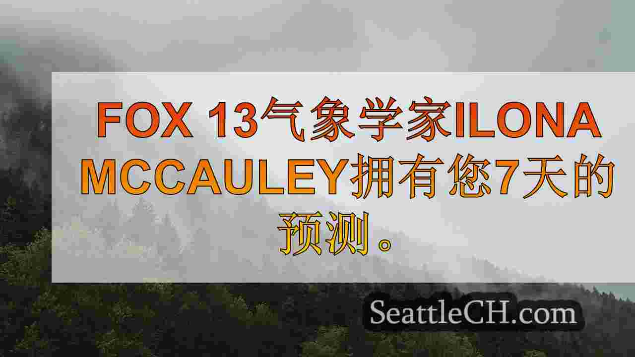 西雅图新闻 SeattleCH