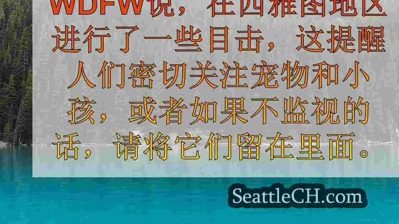 西雅图新闻 SeattleCH