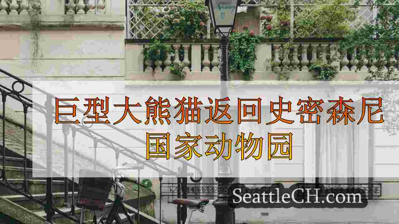 西雅图新闻 SeattleCH