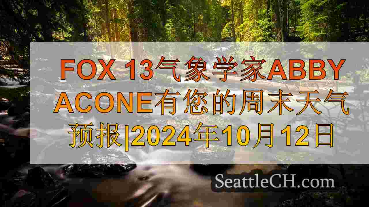 西雅图新闻 SeattleCH