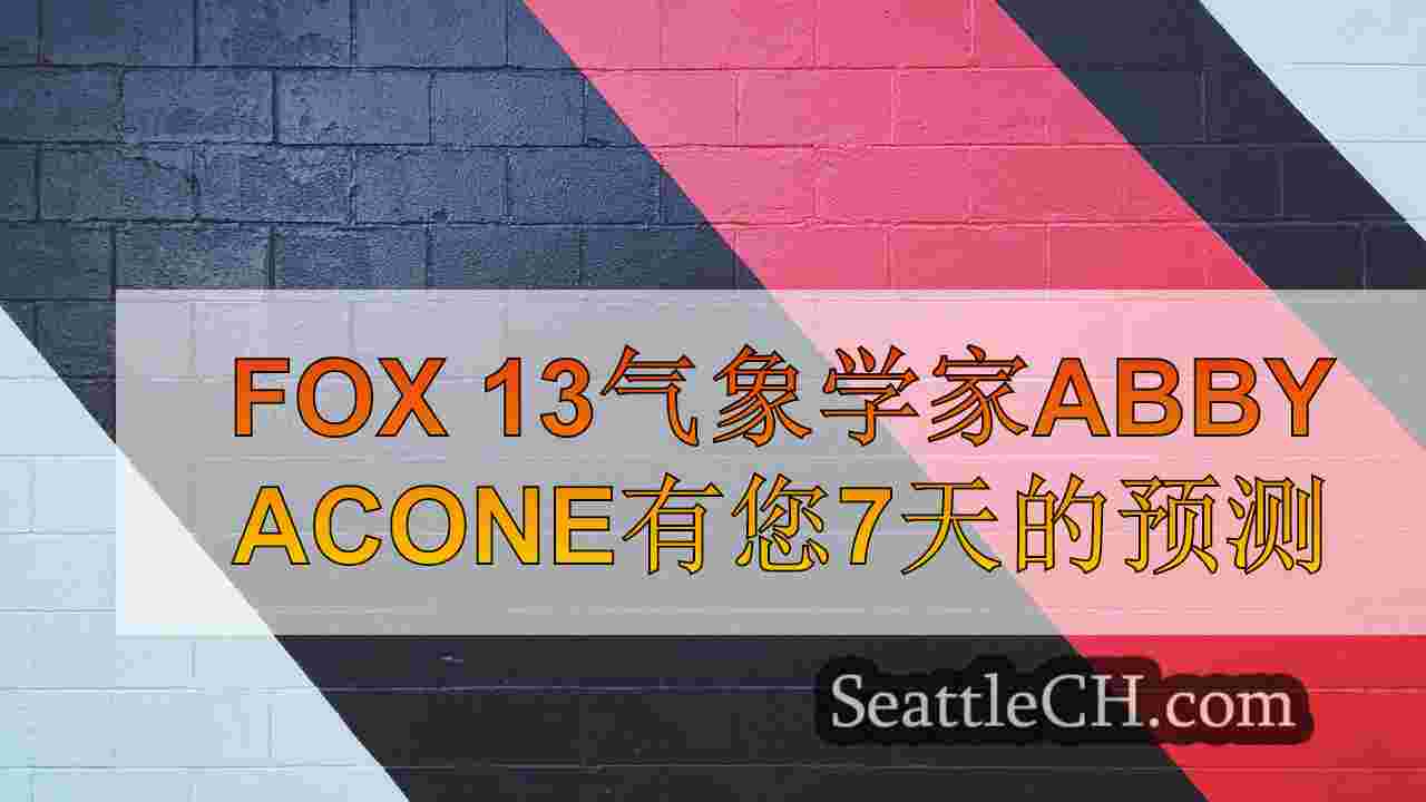 西雅图新闻 SeattleCH