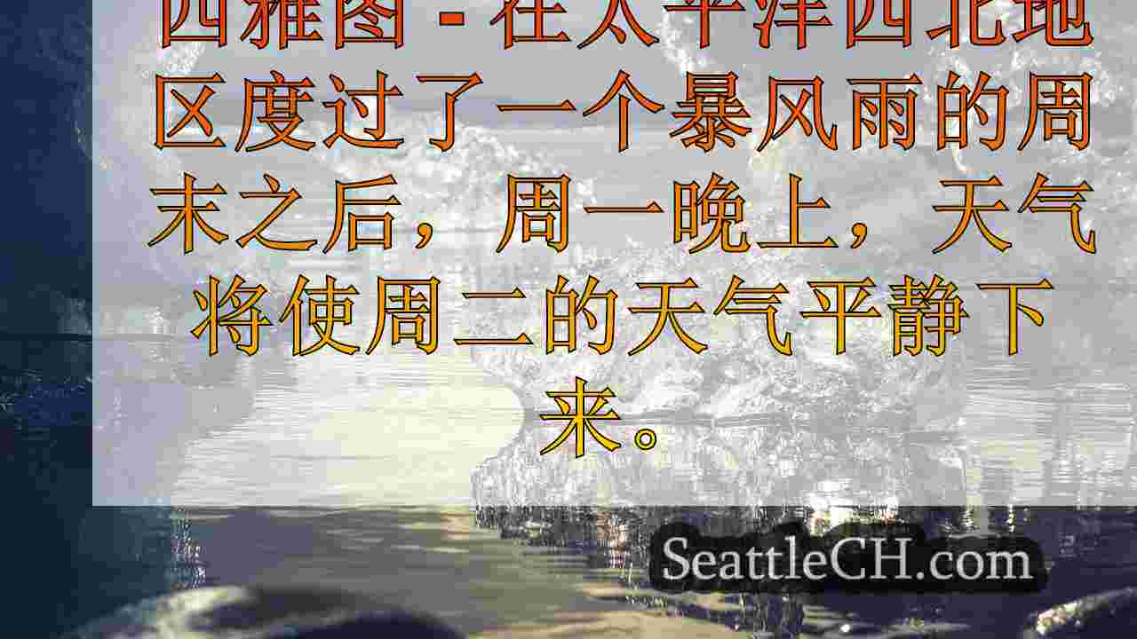 西雅图新闻 SeattleCH