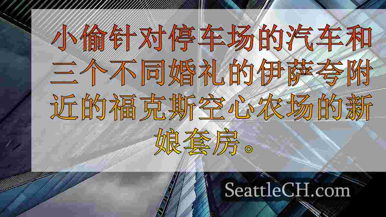 西雅图新闻 SeattleCH