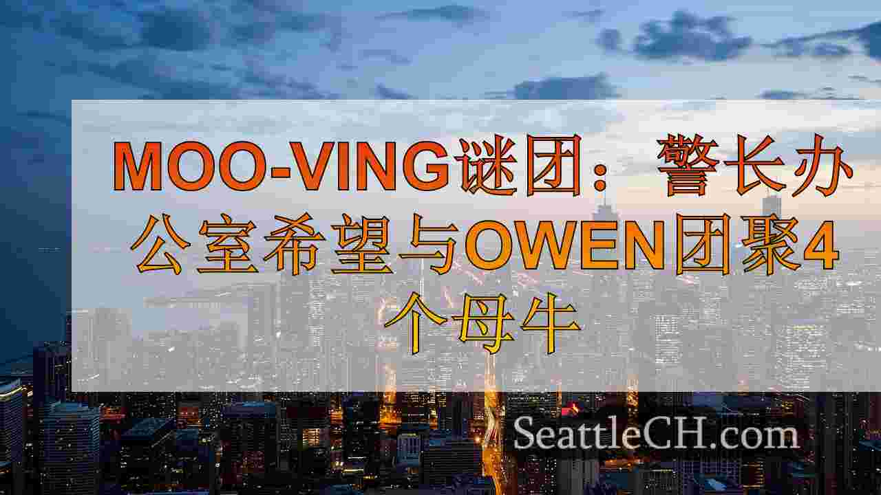 西雅图新闻 SeattleCH