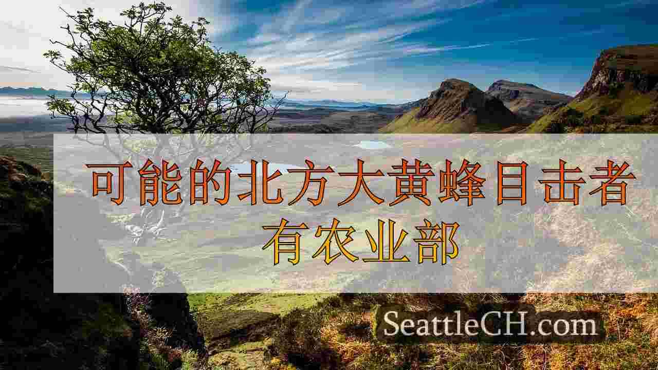 西雅图新闻 SeattleCH