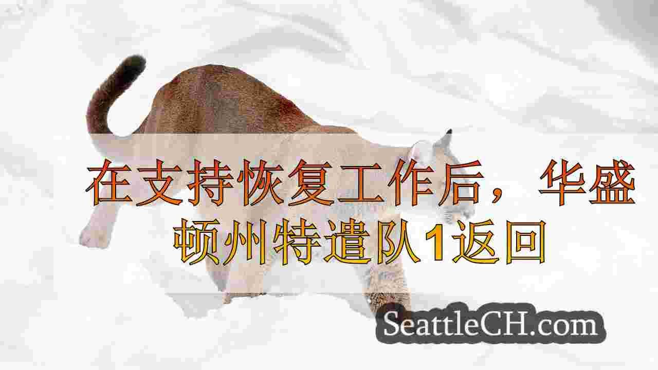 西雅图新闻 SeattleCH