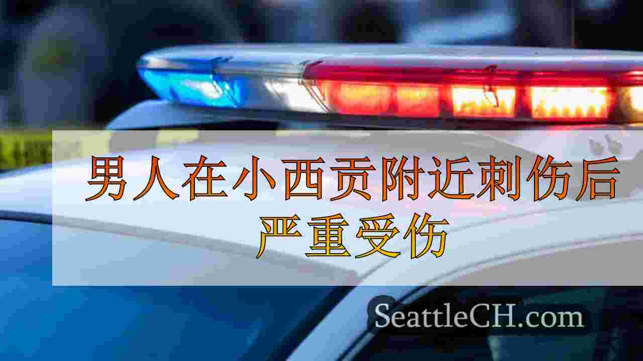 男子在周日晚上在小西贡社区刺伤后受伤严重