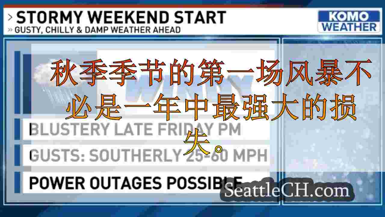 西雅图新闻 SeattleCH