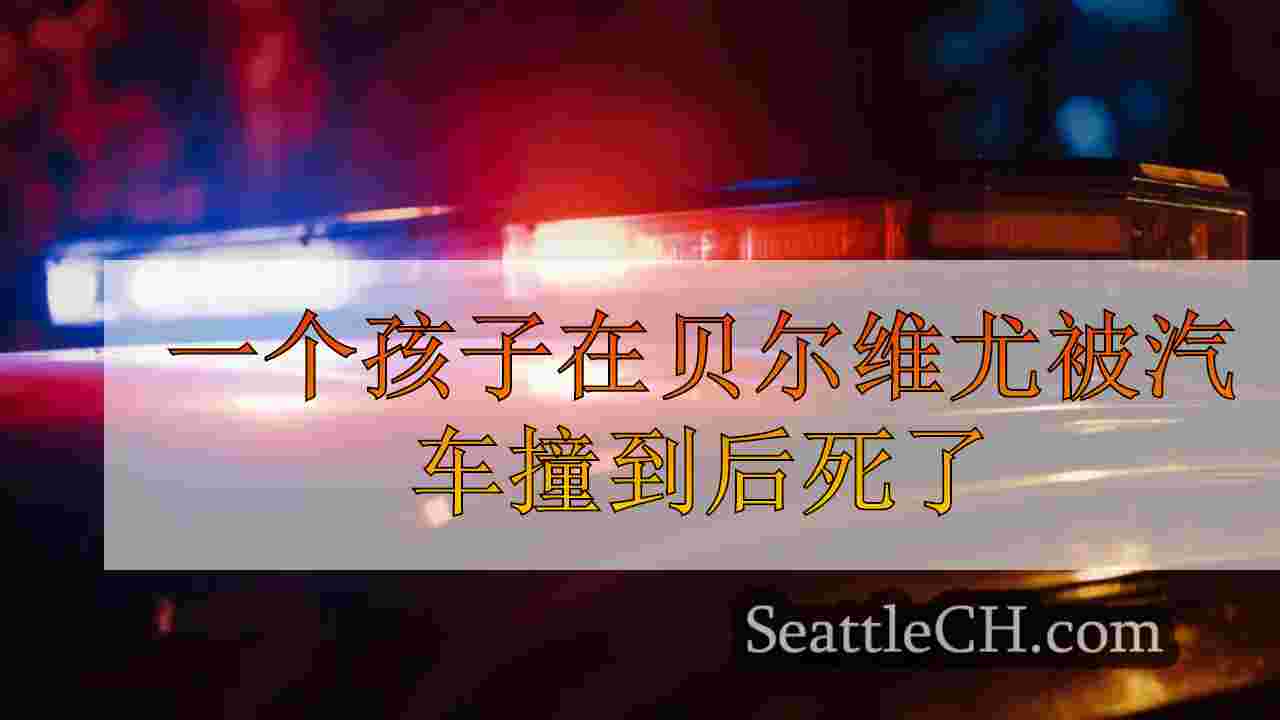 一个孩子在贝尔维尤被汽车撞到后死了