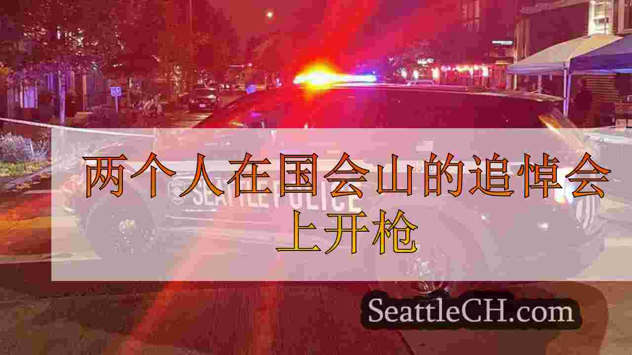 两个人在国会山的追悼会上开枪