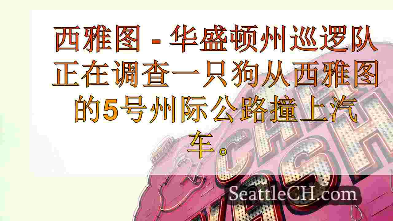 西雅图新闻 SeattleCH