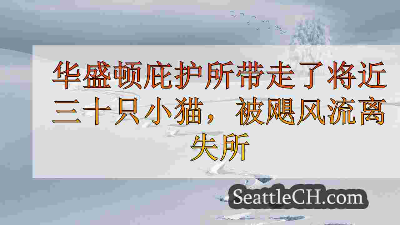 西雅图新闻 SeattleCH