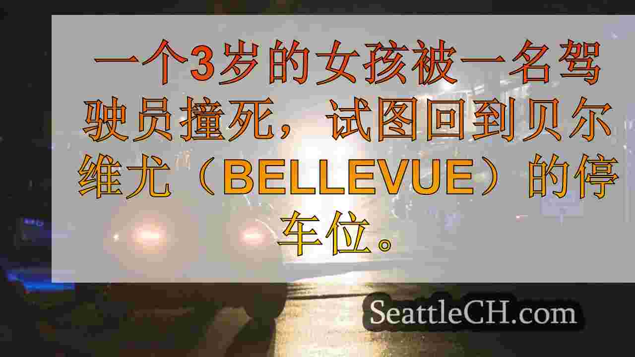 3岁的女孩被卡车撞死，试图回到贝尔维尤的停车位