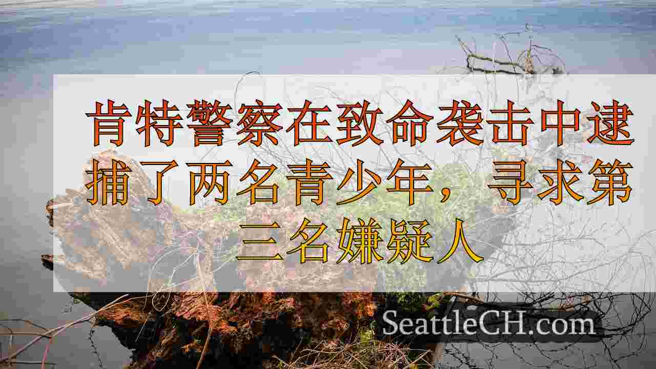 西雅图新闻 SeattleCH